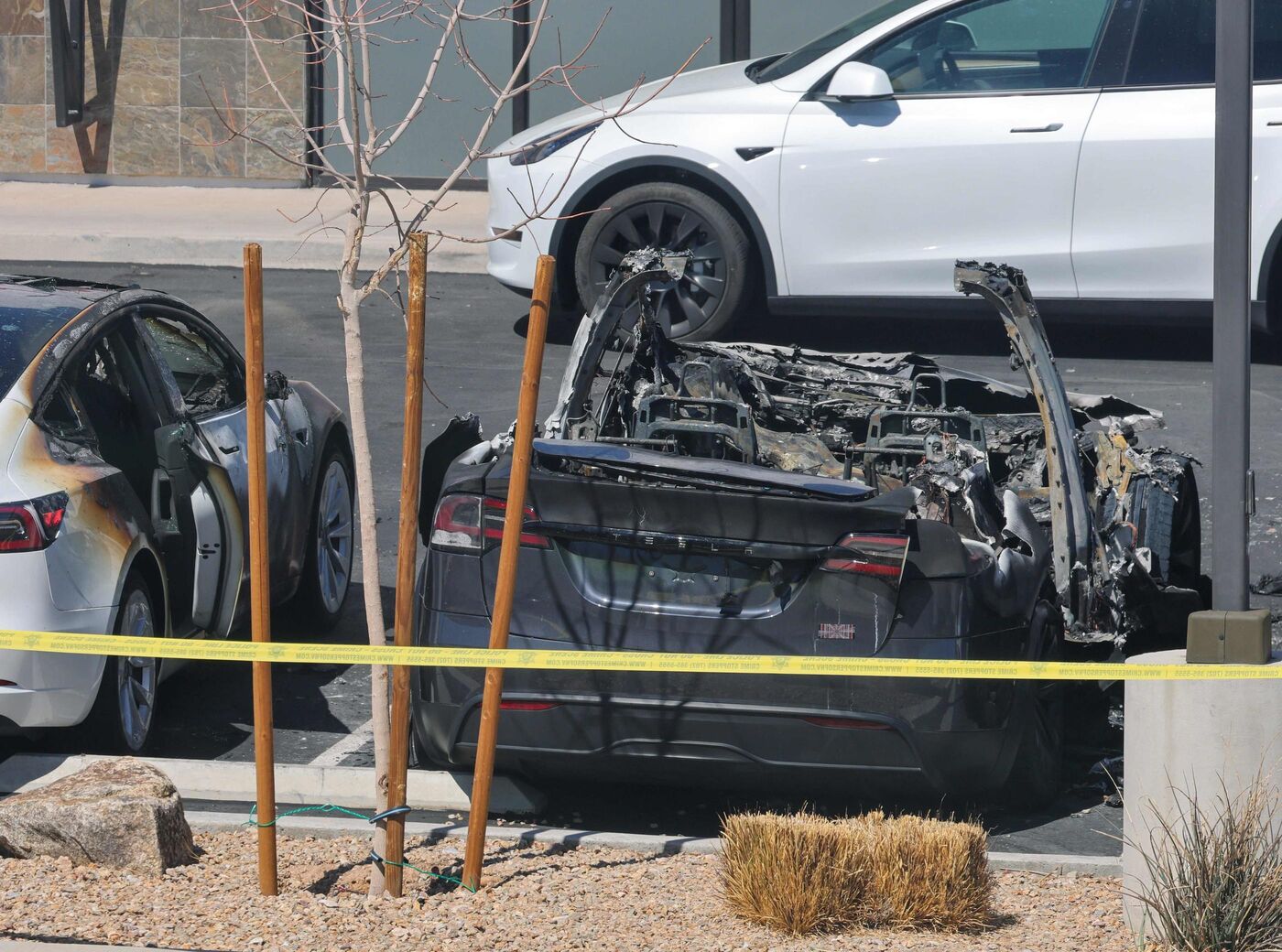 Las Vegas, le 18 mars. Des voitures Tesla ont été volontairement incendiées. AFP/ Getty/ Ethan Miller