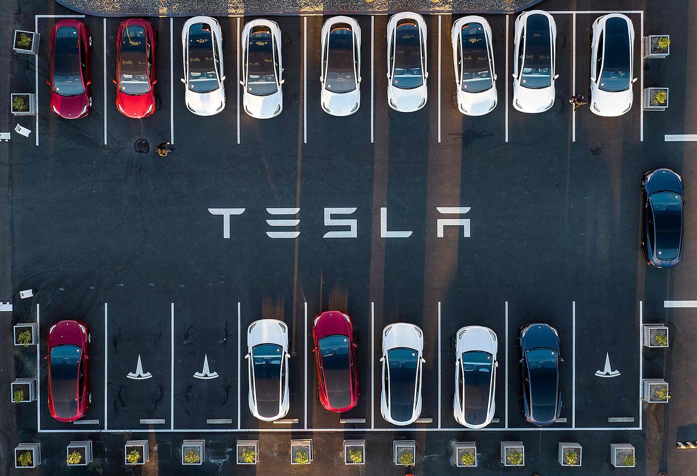 Ce ralentissement des ventes intervient alors que le dirigeant de l'entreprise, Elon Musk, est un allié très proche de Donald Trump. AFP/Josh Edelson