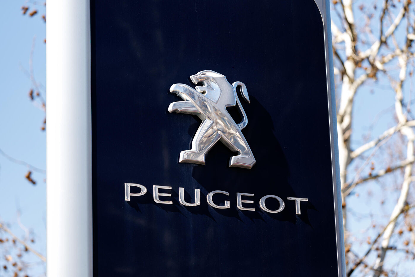 Les marques Peugeot, Fiat, Opel et DS Automobiles sont touchées par un dysfonctionnement qui affecte le moteur du véhicule. (Illustration) IconSport / Matthias Balk