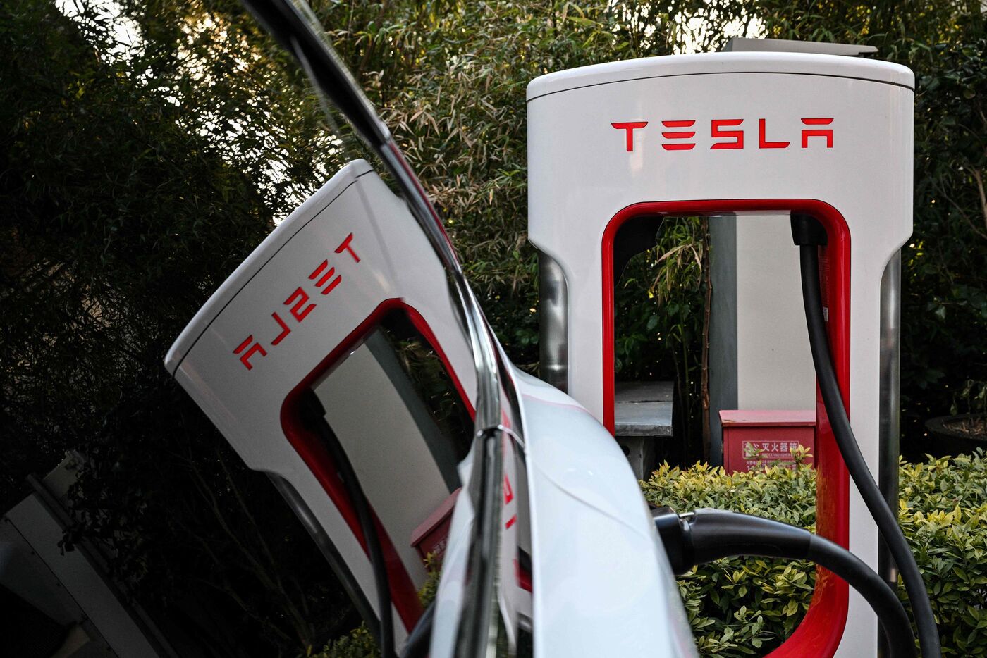 Dans un marché automobile morose en février, les ventes de Tesla ont chuté de 26%. AFP/Hector RETAMAL
